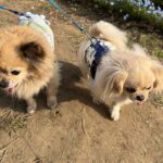 はじめまして。