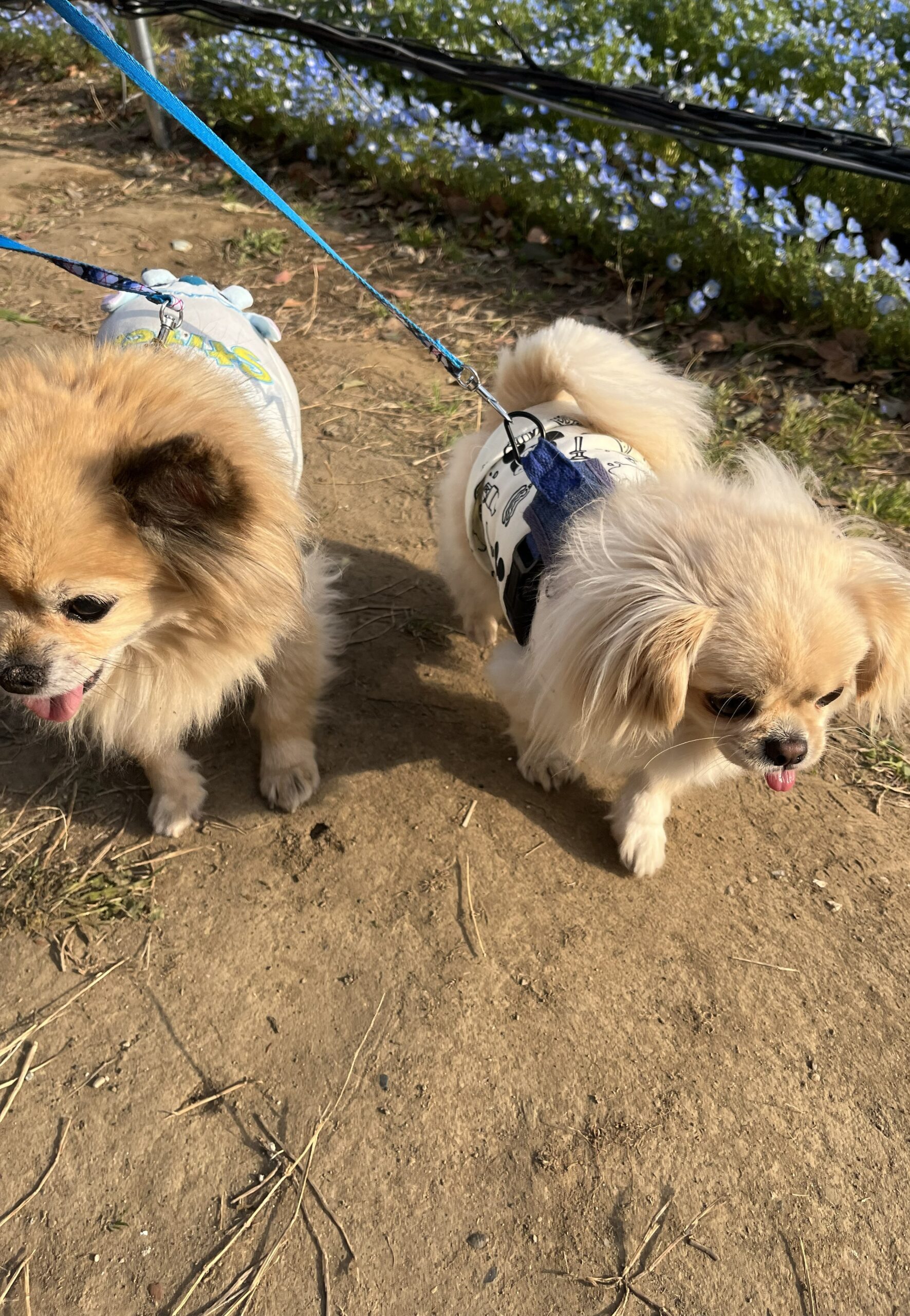 はじめまして。